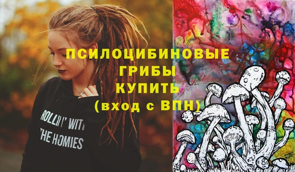 2c-b Белоозёрский