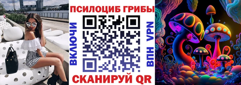 дарнет шоп Корсаков Галлюциногенные грибы Cubensis